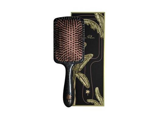 Fan Palm Paddle Big Star
